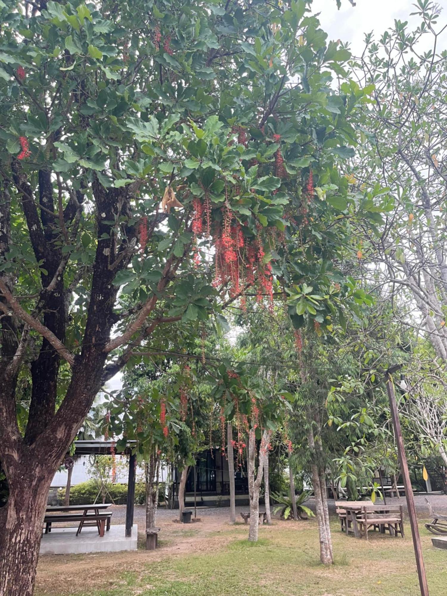 Sangkaset Resort Ban Mong Muang Extérieur photo